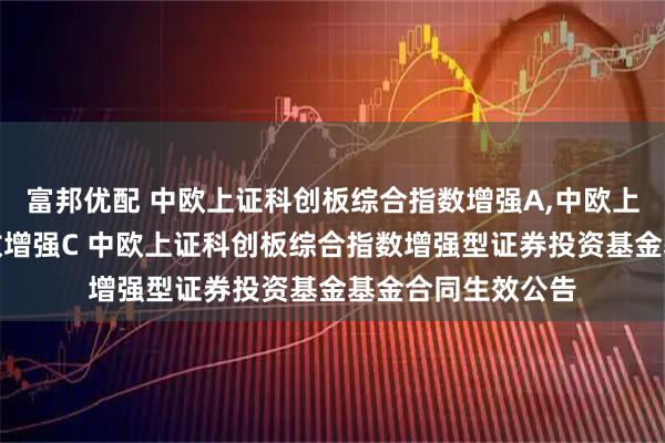 富邦优配 中欧上证科创板综合指数增强A,中欧上证科创板综合指数增强C 中欧上证科创板综合指数增强型证券投资基金基金合同生效公告